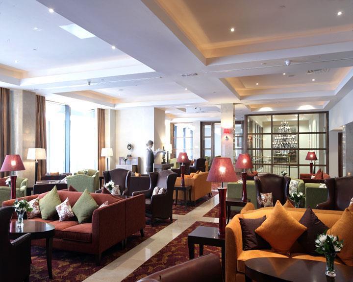 The Savoy Hotel Limerick Nội địa bức ảnh The lounge at the hotel